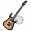 Guitarra Eléctrica IBANEZ GRG121EXSM-Natural