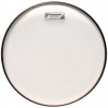 Parche de  10″ CLASIC-CLEAR AQUARIAN